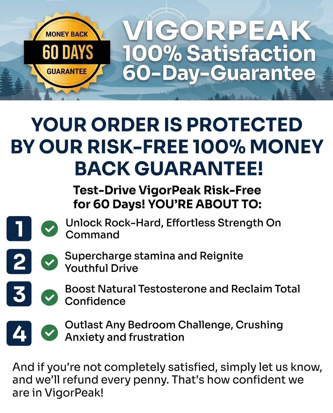 VigorPeak Guarantee and Seals