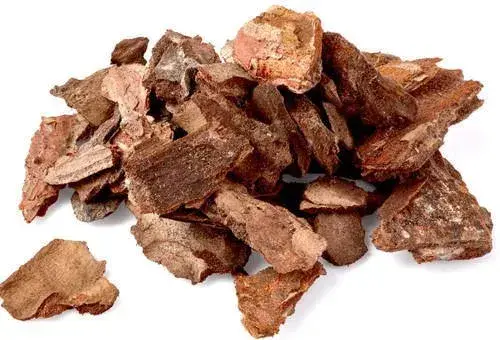 Saw Palmetto Berry